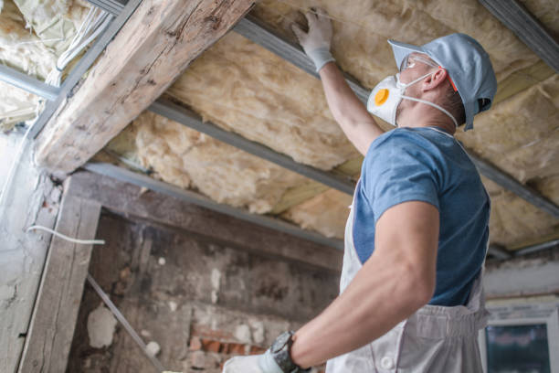 Best Eco-Friendly Insulation in Salunga, PA